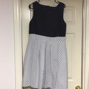 Tahari polka dot dress, 12